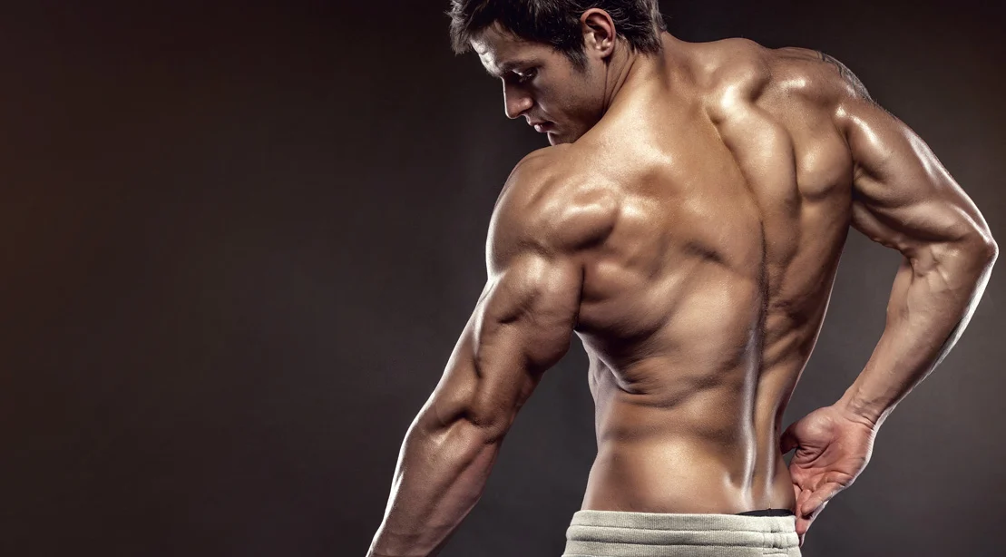 The Science of Building a Better Body: Tips for Men